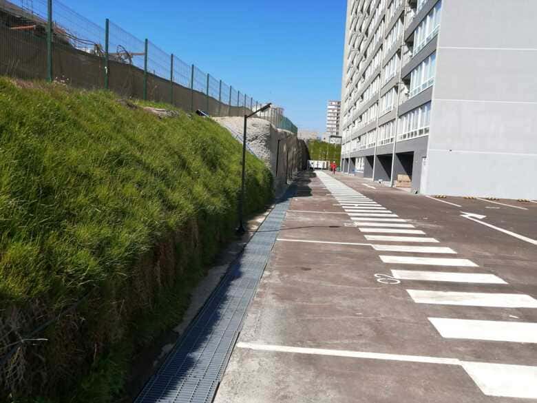 proyecto realizado de hidrosiembra