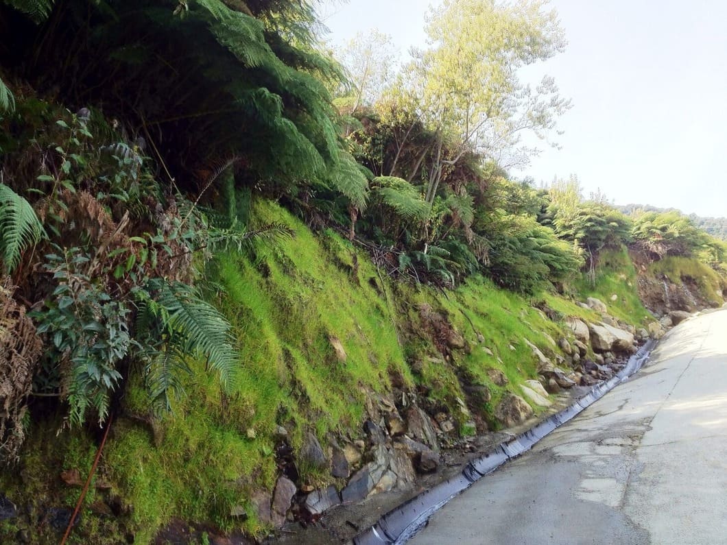 talud después de un hidro sembrado