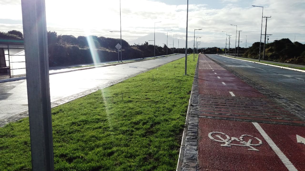 reforestación urbana en ciclovía