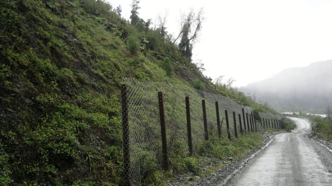 Resultado de aplicación de hidrosiembra